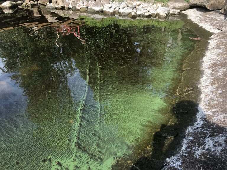 Aurejärvi (35.573.1.001)-Havaintopaikka 1-ObsALG-201907232141-14.jpeg