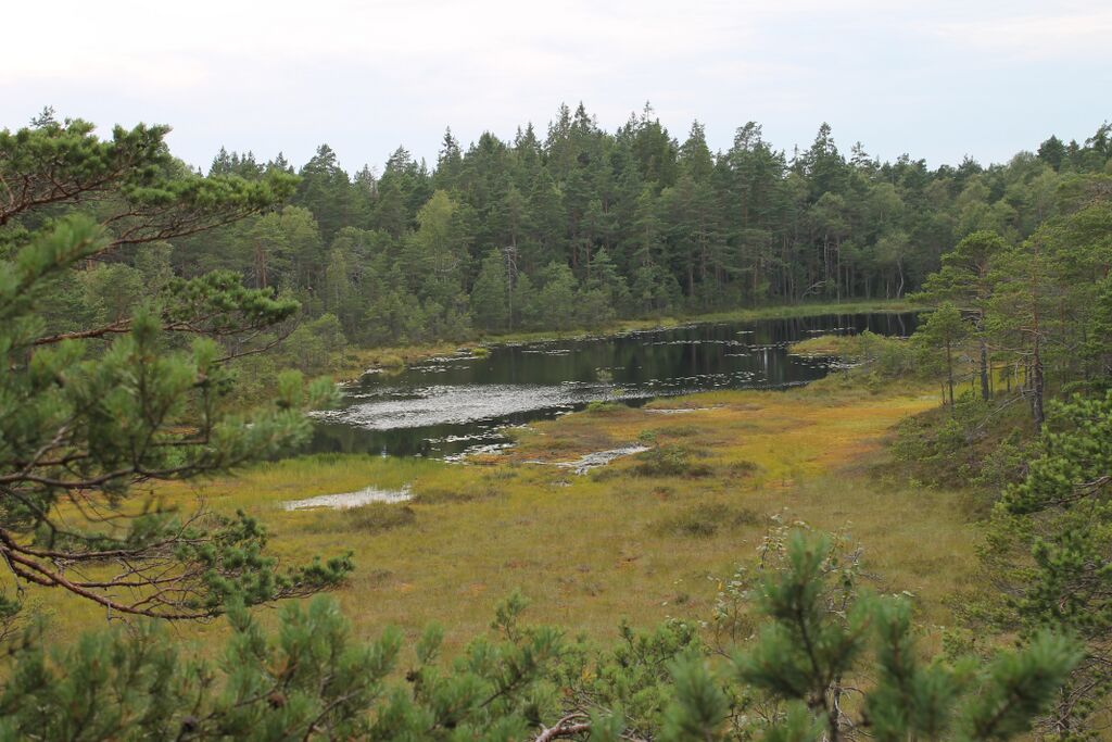 Kakarlampi itäranta.JPG