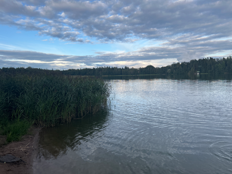 Lippajärvi (81.055.1.008)-Vilniemen uimaranta-ObsIMG-202508261920-1756225761370.png