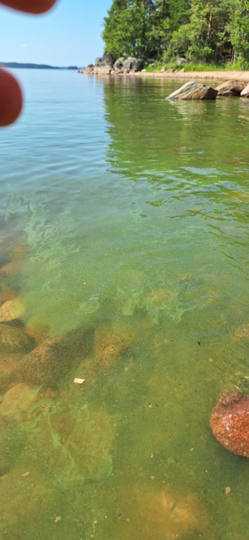 Saimaa (04.112.1.001)-Havaintopaikka 2-ObsALG-202507131700-687560fce74a3.png