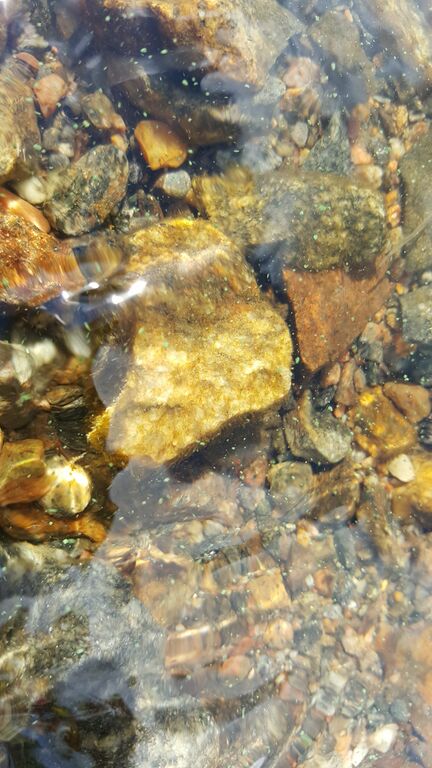 Unnukka (04.271.1.001)-Juottorannan epävirallinen uimaranta-ObsIMG-202007031030-61.jpg