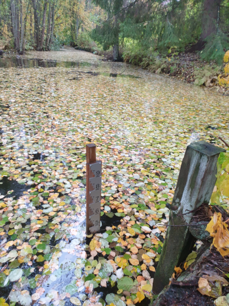 Tiedosto:Urpolanjoen valuma-alue (04.152)-Urpolan aarimaan puistoväylän silta-ObsIMG-202510111003-1760166244041.png