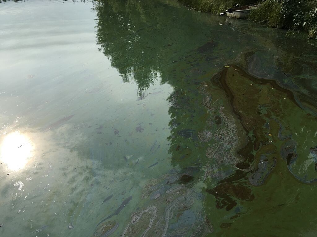 Jouttenus (35.329.1.009)-Jouttenus 4-ObsIMG-201708181639-59.jpg