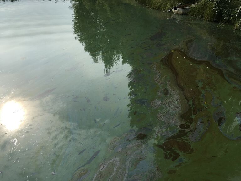 Jouttenus (35.329.1.009)-Jouttenus 4-ObsIMG-201708181639-59.jpg