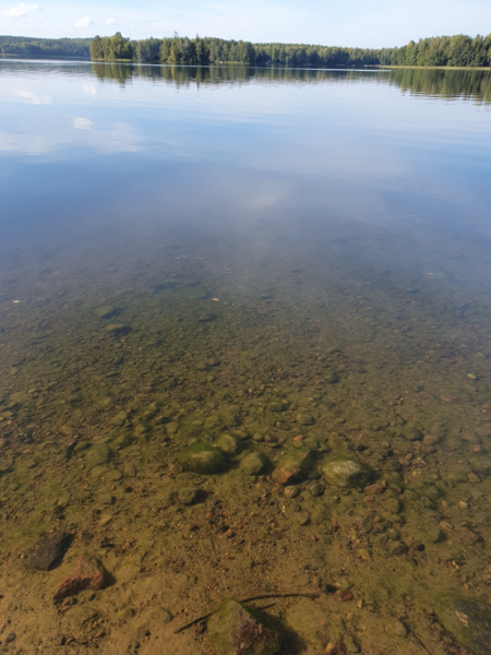 Tiedosto:Lohjanjärvi (23.021.1.001)-Bråtan-ObsALG-202409031726-66d71e01ef3a1.png