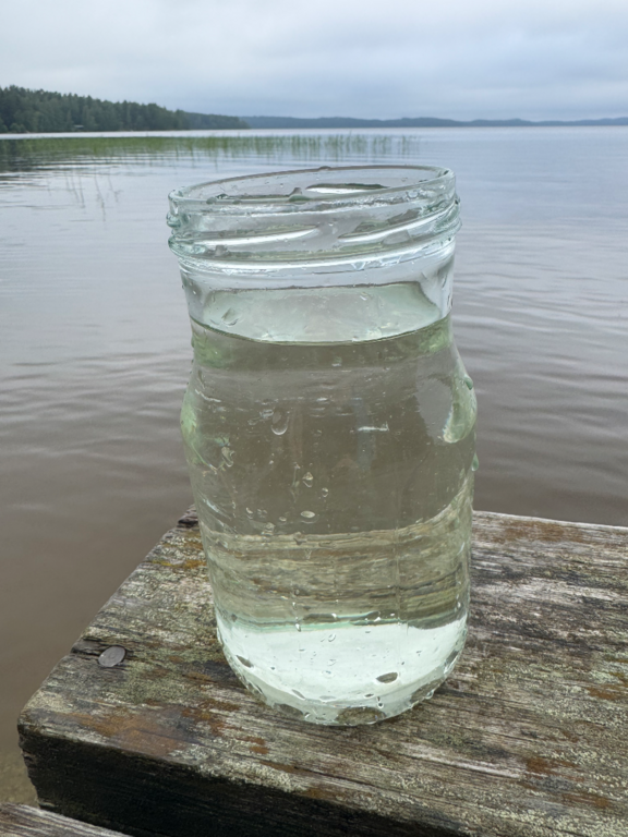 Päijänne (yhd.)-Rotarien sinileväseuranta (Honkaniemi, Kuhapolku)-ObsIMG-202507070846-1751867287047.png