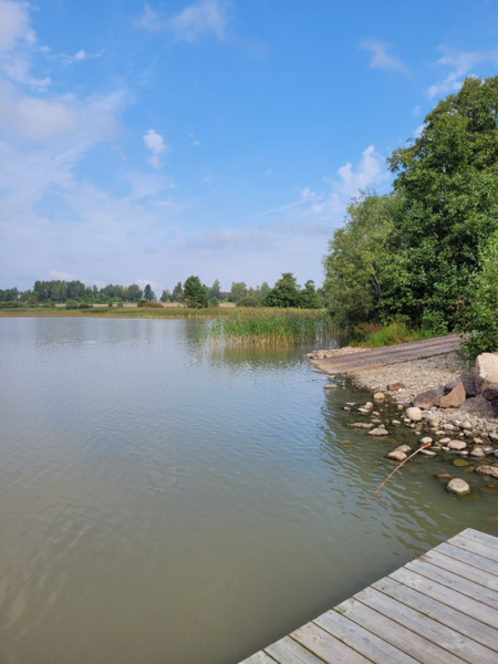 Tiedosto:Pyhäjärvi (16.003.1.001)-Pyykkiniekan uimaranta-ObsALG-202409031300-66d6e0588b27a.png