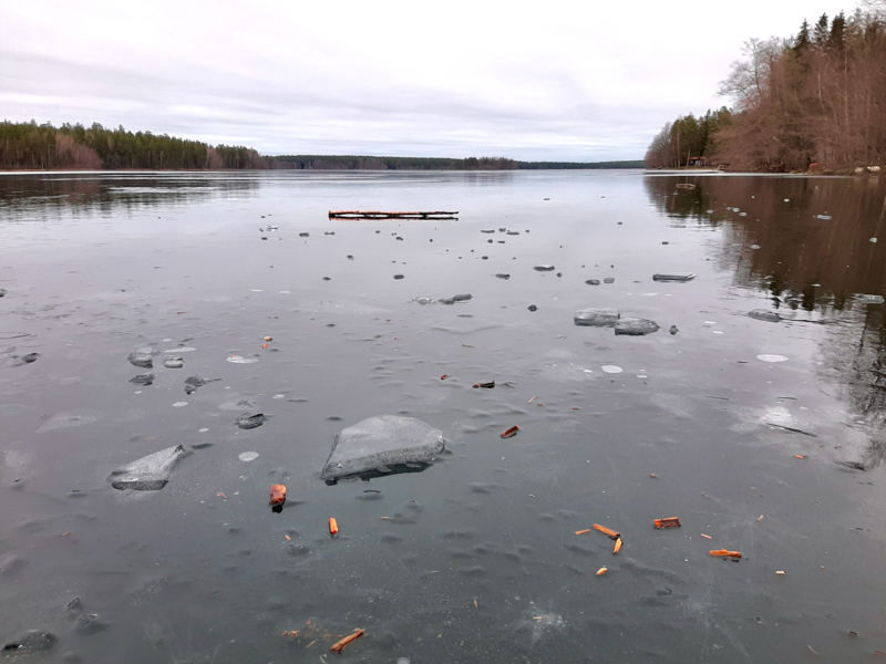Tiedosto:Sääksjärvi (23.097.1.002)-Sääksjärvi-ObsICE-202512251230-1766666880472.png