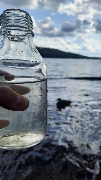 Vesijärvi (14.241.1.001)-Valtakunnallinen sinileväseuranta (pohjoisosa)-ObsIMG-202108101230-6112479c93c62.png