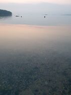 Hankoniemi W/Rotarien sinileväseuranta (Lindnäsinlahti)