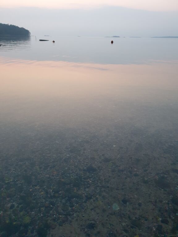 Hankoniemi W-Rotarien sinileväseuranta (Lindnäsinlahti)-ObsALG-202009231945-84.jpg