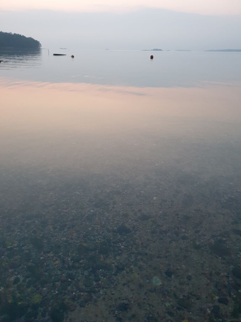 Hankoniemi W-Rotarien sinileväseuranta (Lindnäsinlahti)-ObsALG-202009231945-84.jpg