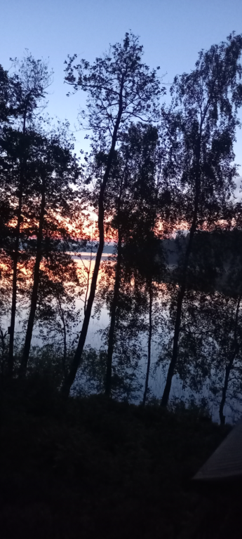 Saimaa (04.112.1.001)-Rotarien sinileväseuranta (Pulkkaselkä, Hietalahti)-ObsIMG-202406030831-665d55cba56f2.png