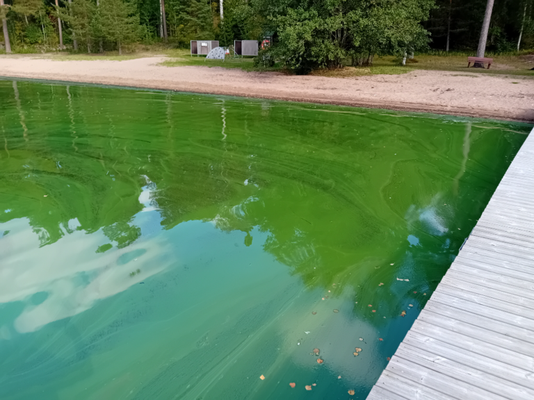 Hiidenvesi (23.031.1.001)-Varikkaan uimaranta-ObsALG-202309091452-64fe024744b19.png