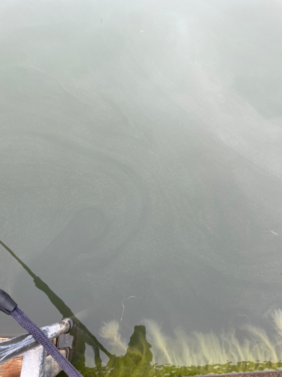 Inkoo Fagervik-Österviken, Jakob Ramsjö-ObsALG-202407010929-66824d495c5c1.png