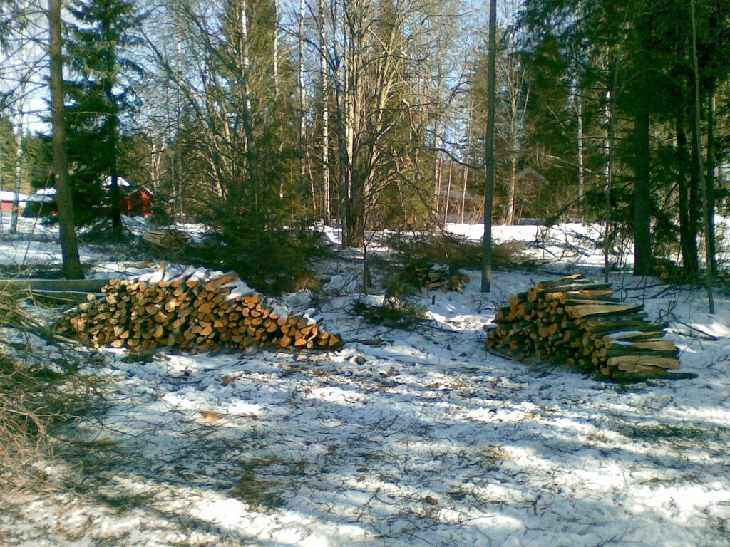 Puunkaatourakan satoa.jpg