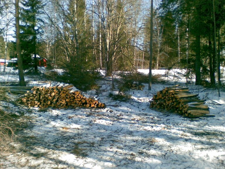 Puunkaatourakan satoa.jpg