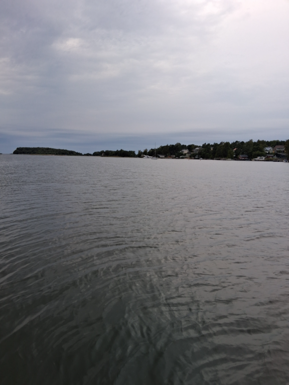 Rauman edusta-Valtakunnallinen sinileväseuranta (Syväraumanlahti)-ObsIMG-202509030824-1756877077883.png