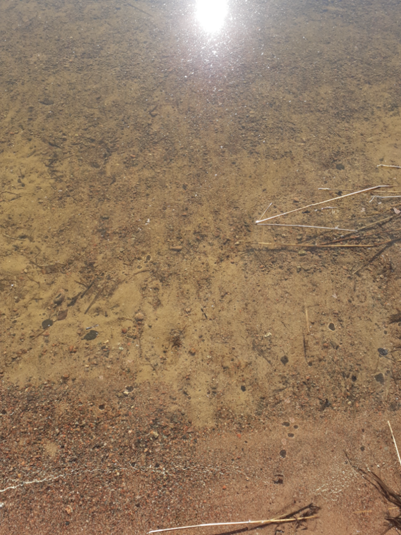 Urajärvi (14.123.1.001)-Valtakunnallinen sinileväseuranta-ObsIMG-202206070836-629ee412ddf31.png