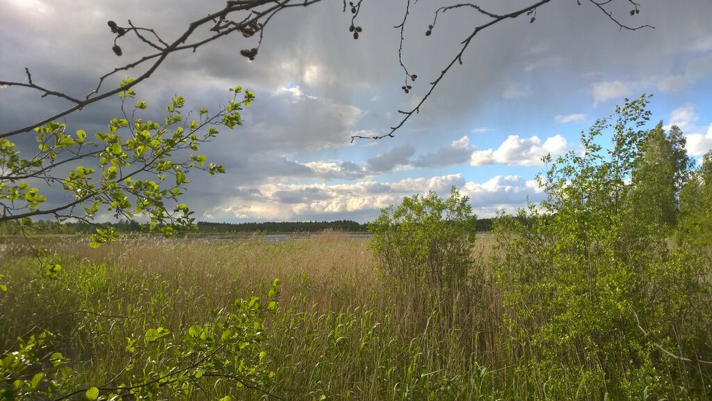 WP 20150616 18 58 57 Pro.jpg