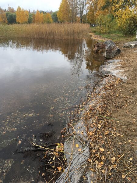 Tiedosto:Kallavesi (yhd.)-Brahenpuiston uimaranta-ObsIMG-201710120944-92.jpg