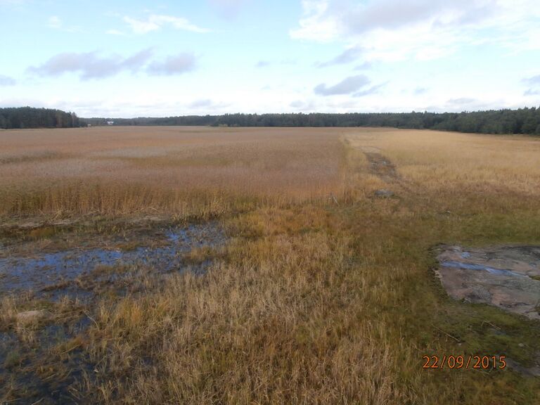 Kopparnäsin lintutornista pohjoiseen.JPG