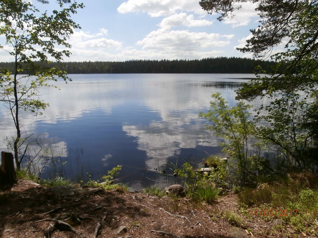 Mustalammi Vihti.JPG