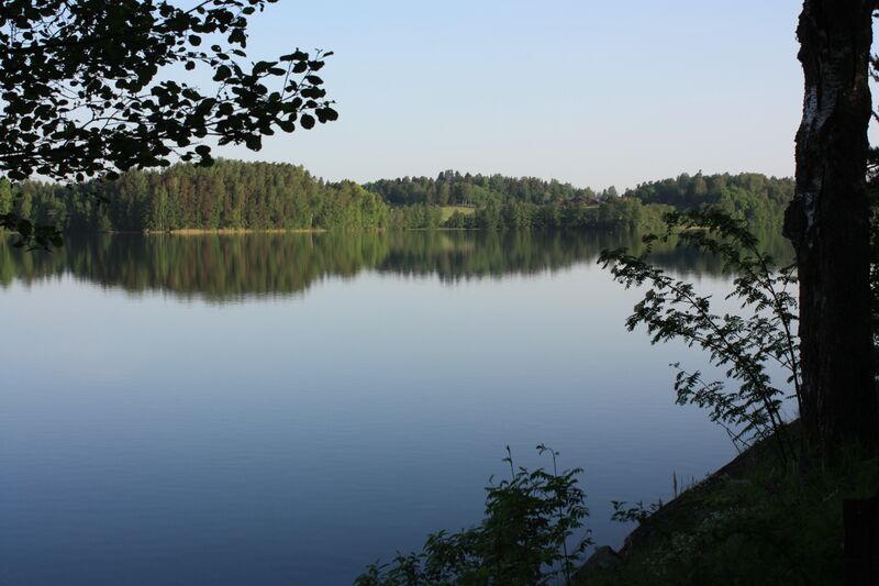 Tiedosto:20140605 31.JPG