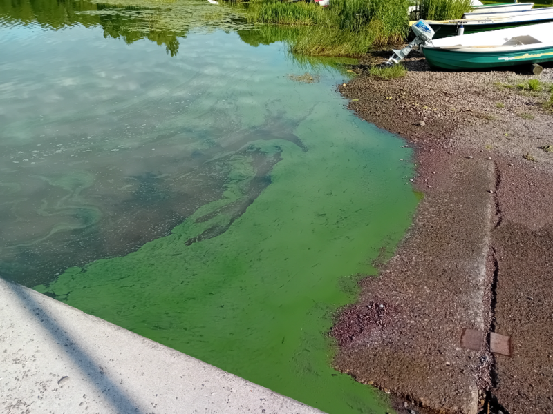 Tiedosto:Hiidenvesi (23.031.1.001)-Kirkonkylän veneranta-ObsIMG-202407270908-66a4a356cc631.png