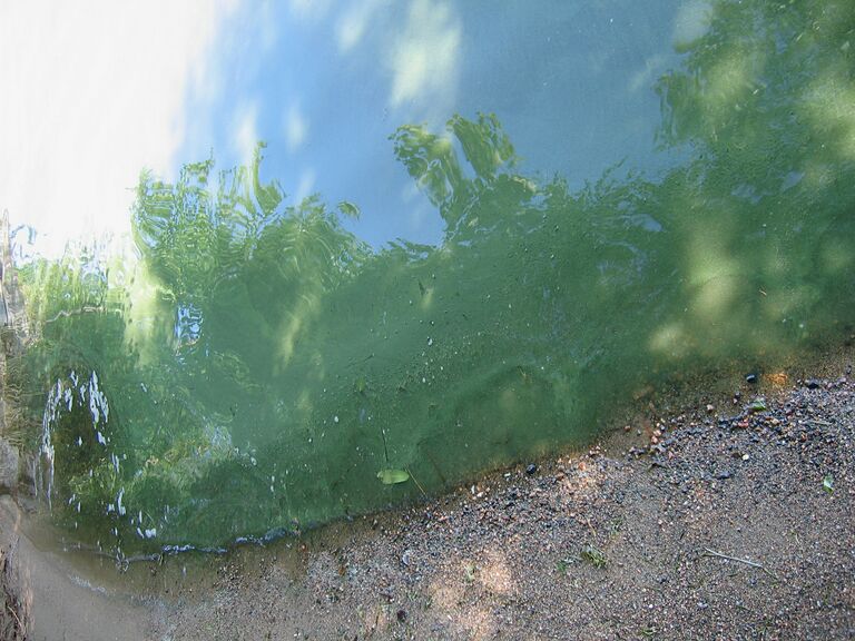 Sinileva 01072011 hyvola.jpg