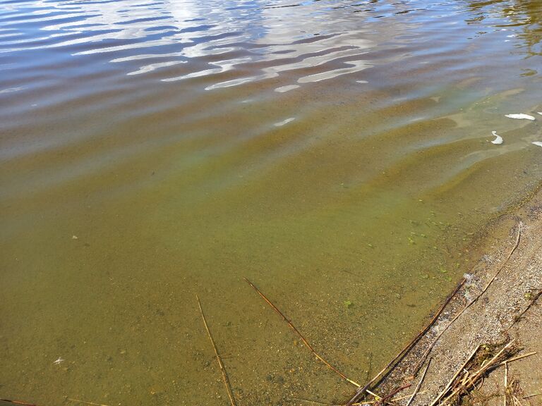 Hieman levää Launialassa 2.8.2022.jpg