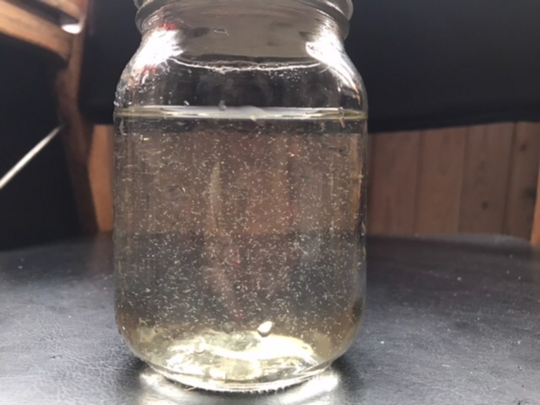 Mannervesi-Valtakunnallinen sinileväseuranta (Iso Marjakari)-ObsALG-202107281452-610145a195942.png