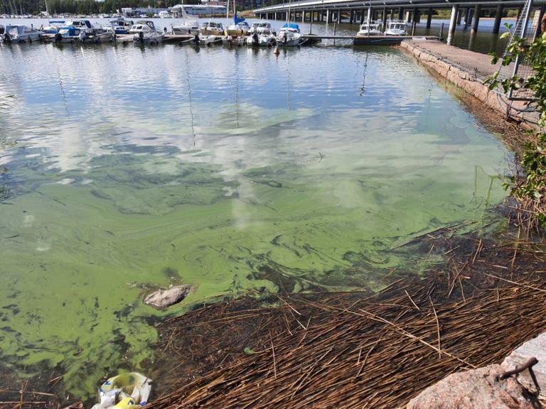 Villinki-Vuosaaren silta-ObsALG-202208081608-62f10b284ffa7.png