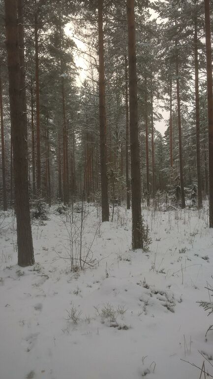 Ekojärven valuma-alue (35.787)-Rusthollinkangas-ObsSNOWLOAD-201701161427-28.jpg