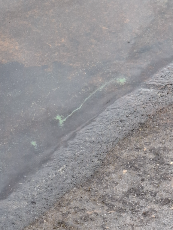 Nytkymenjärvi (14.226.1.026)-Havaintopaikka 1-ObsIMG-202507021926-68655e8708ee1.png