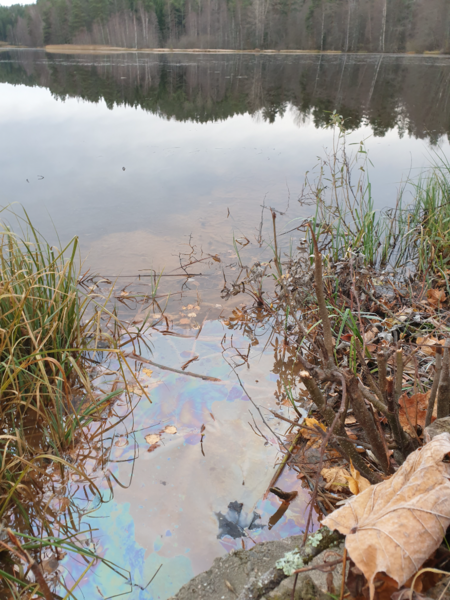 Tiedosto:Urpolanlampi (04.152.1.001)-Uusi hulevesiputki-ObsIMG-202411010743-67248074799b3.png