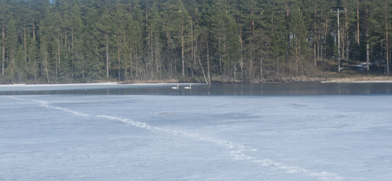 Välijärvi (74.021.1.051)-Luikonperän salmi-ObsIMG-202504201551-6804ee37bc1ea.png