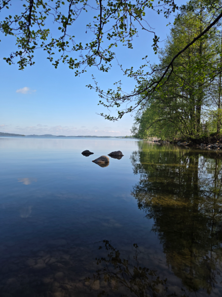 Tiedosto:Vesijärvi (14.241.1.001)-Myllysaaren koirauimaranta-ObsIMG-202605200952-1779259999831.png