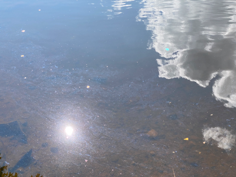 Tiedosto:Härmälänojan valuma-alue (35.216)-Noutiopaikka-ObsIMG-202408081429-66b4ac8d56b9c.png