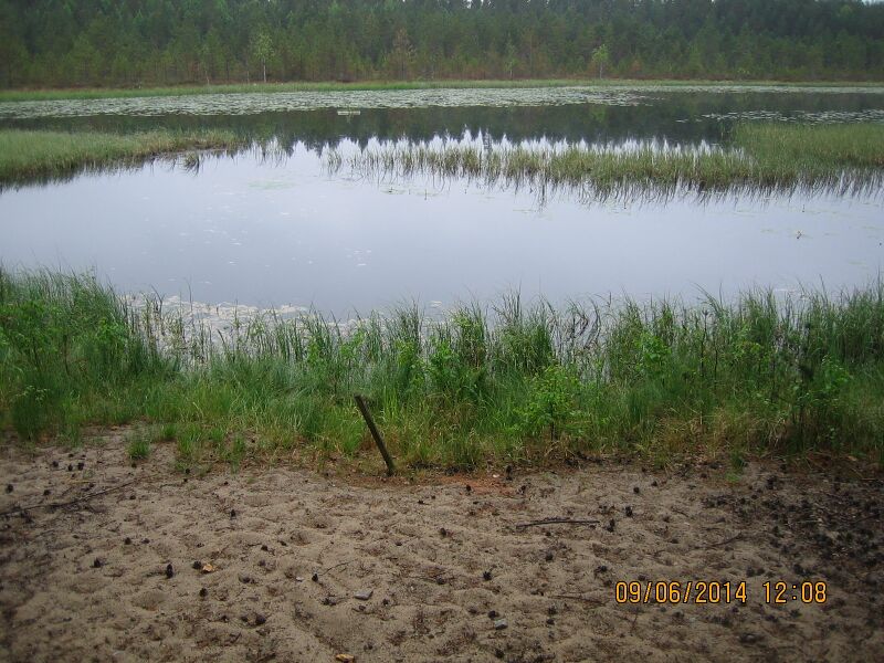 Tiedosto:Mustalampi 2.JPG