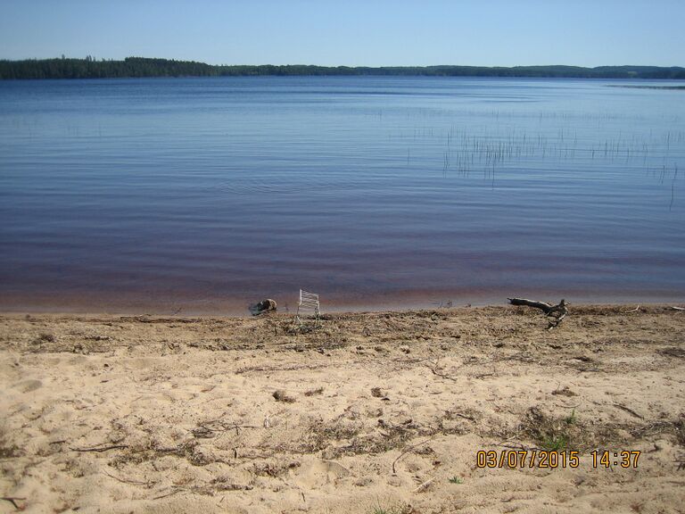 Sinervan uimaranta.JPG