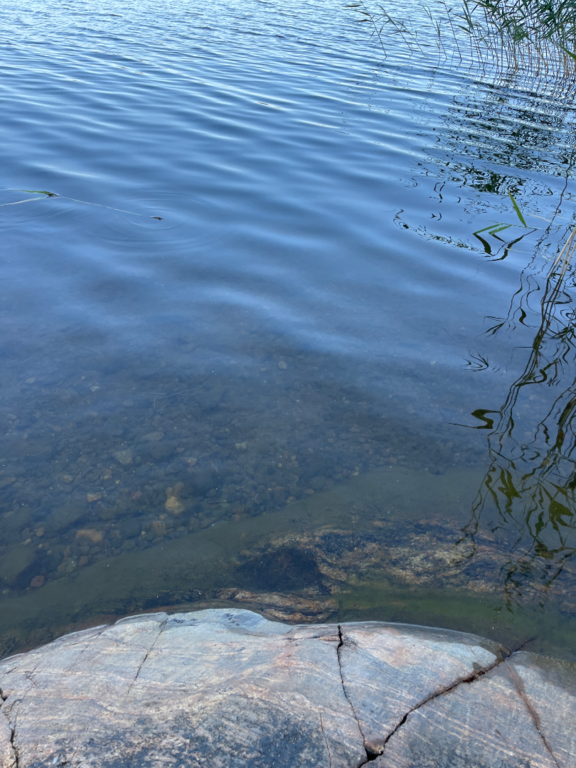 Dragsvik-Rotarien sinileväseuranta (Högholmen)-ObsIMG-202507161009-1752649882929.png