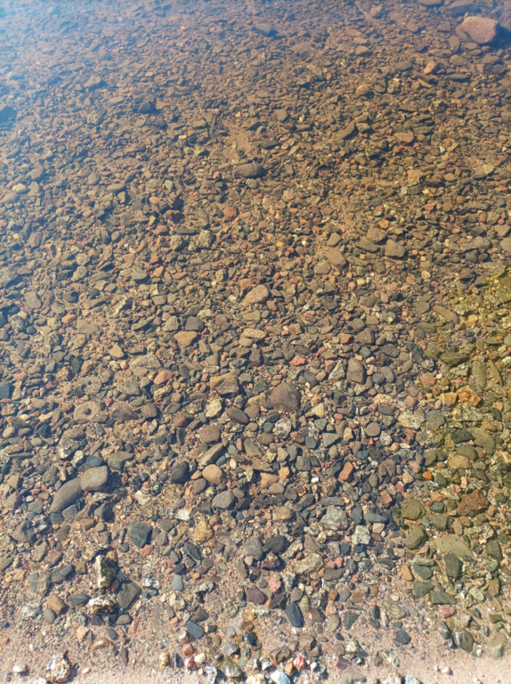 Lappajärvi (47.031.1.001)-Valtakunnallinen sinileväseuranta (Kivitippu)-ObsALG-202107140714-60ee6c60e54b1.png