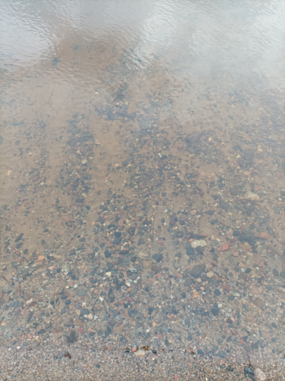 Lappajärvi (47.031.1.001)-Valtakunnallinen sinileväseuranta (Kivitippu)-ObsALG-202108031637-610946ead574e.png