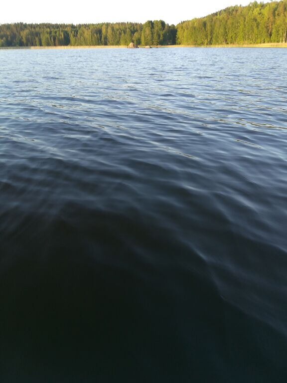 Päijänne (yhd.)-Havaintopaikka 3-ObsIMG-201906152126-11.jpg