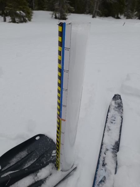 Tiedosto:Pallasjärven valuma-alue (65.652)-pallas-ObsSNOW-202603251030-69c39d98f3e95.png