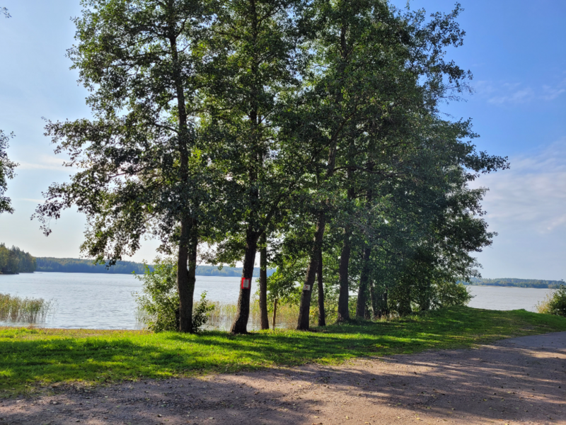 Tiedosto:Pyhäjärvi (16.003.1.001)-Pyykkiniekan uimaranta-ObsIMG-202409241300-66f3b3955d6fb.png