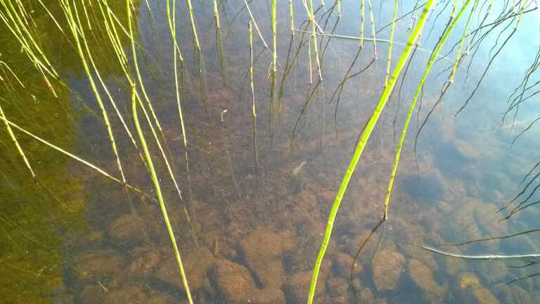 Soukkalahti 28.8.2019.jpg