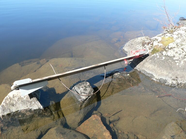 Talviverkon uitin.jpg