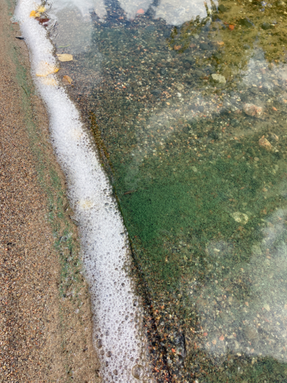 Ukonvesi (Saimaa) (04.151.1.001)-Koivukummunpolku-ObsALG-202209171324-6325a077931a7.png